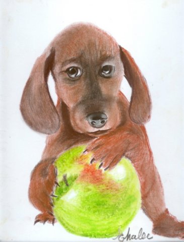 puppywithapple3.jpg