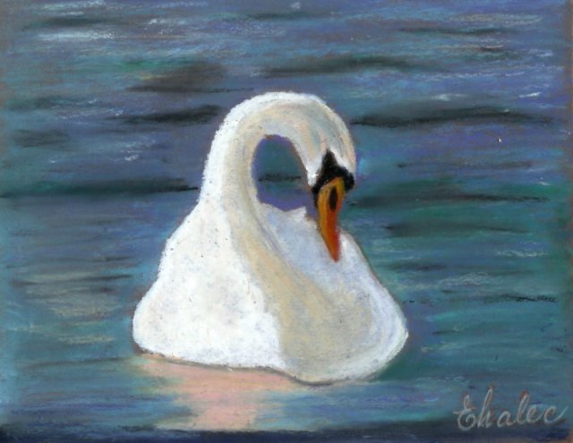 swan.jpg