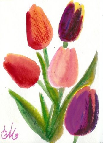 tulips3.jpg