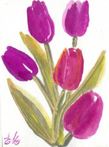 tulips4.jpg