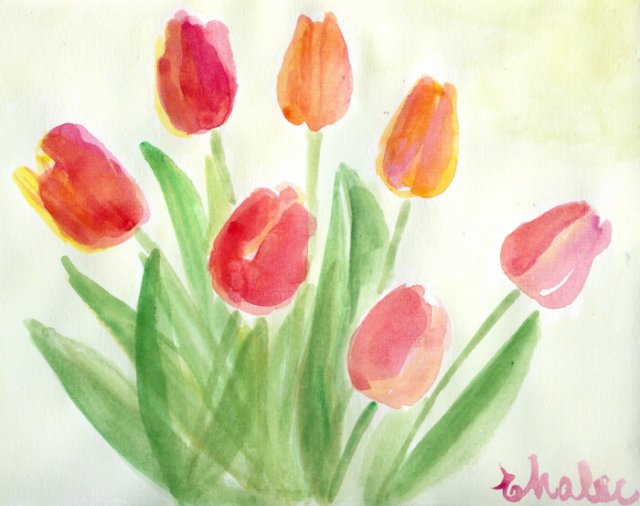 tulips6.jpg