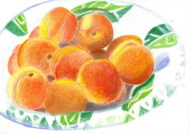 apricots.jpg