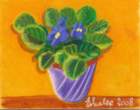 africanviolet2_small.jpg